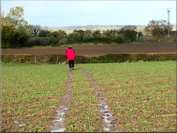 Path across the field marked by a quad bike track