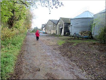 Farm buildings by Mains Lane at the edge of Bishop Monkton