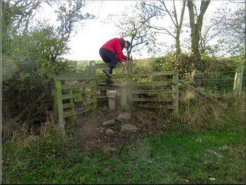 Stile on top of a low bank