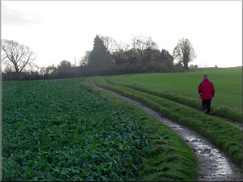 Farm track leading back to Burton Leonard