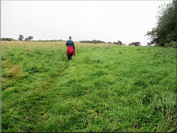 There was a well worn path across this rough pasture