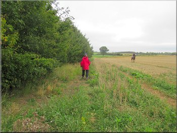 Path at the top of the field with a rider cantering towards us