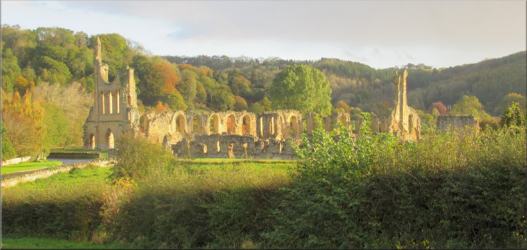 Byland Abbey caught in the morning sunshine