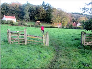 Path across a field to Hambleton Lane