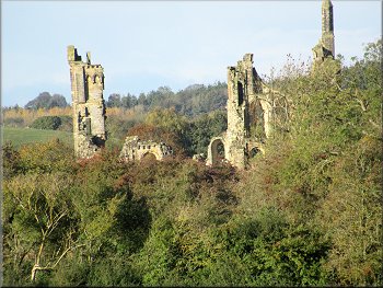 Part of Byland Abbey visible in the trees ahead
