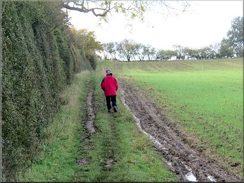 Public footpath along a farm track up the edge of the field