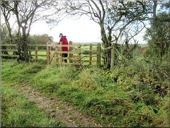 Kissing gate at the top edge of the field