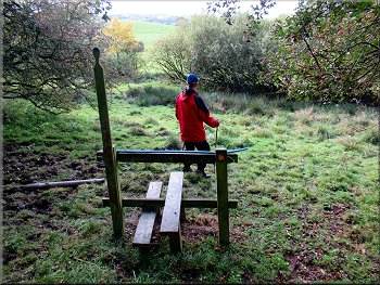 Another stile but no fence at the bottom edge of the wood