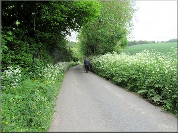 Following Beckdale Road into the woodland