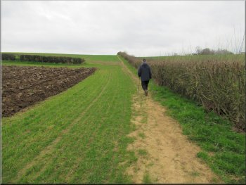 Following the path along the edge of the first field