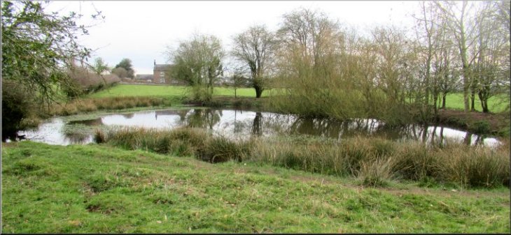The pond with the Flower of May farm at the far edge of the field