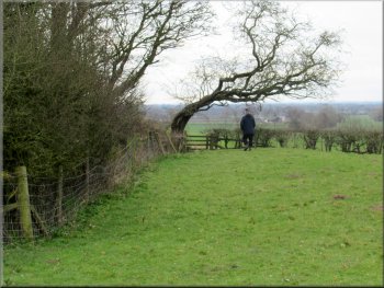 Stile in the field corner with a bent tree above it