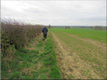 Following the path along the edge of the next field