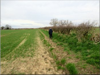 Path along the field edge towards Woolpots Lane