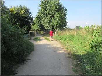 Path from the allotments down towards Rawcliffe Ings