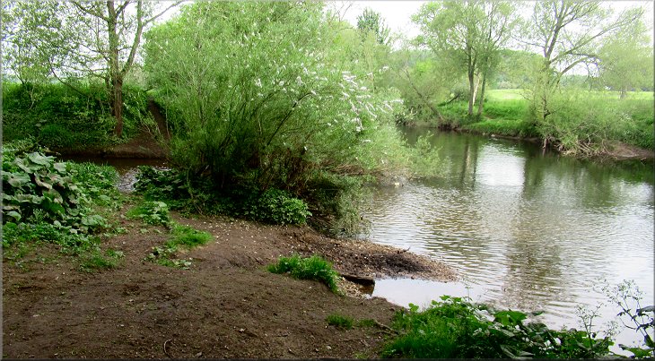 The River Skell flowing into the River Ure from the left