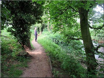 Path by the River Skell heading upstream