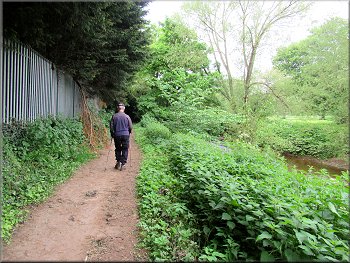 River side path nearing Fisher Green