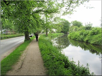 Tow path east of the Ripon by-pass